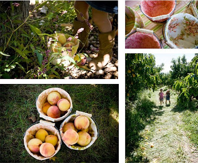 Kara s Party Ideas Peaches and Cream Party   - 97