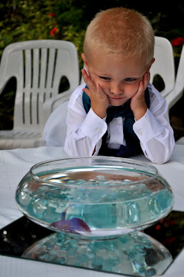 Kara s Party Ideas Purple   Jade Wedding Reception  - 31