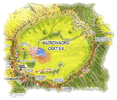 Cráter de Ngorongoro - Parque de Tanzania - Foro África del Este