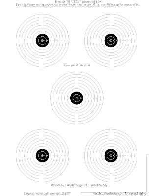 5 Meter Air Rifle Target Pdf Application