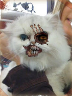 the Random Pictures this time are zombie cats