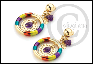 ��������� ���� 2010