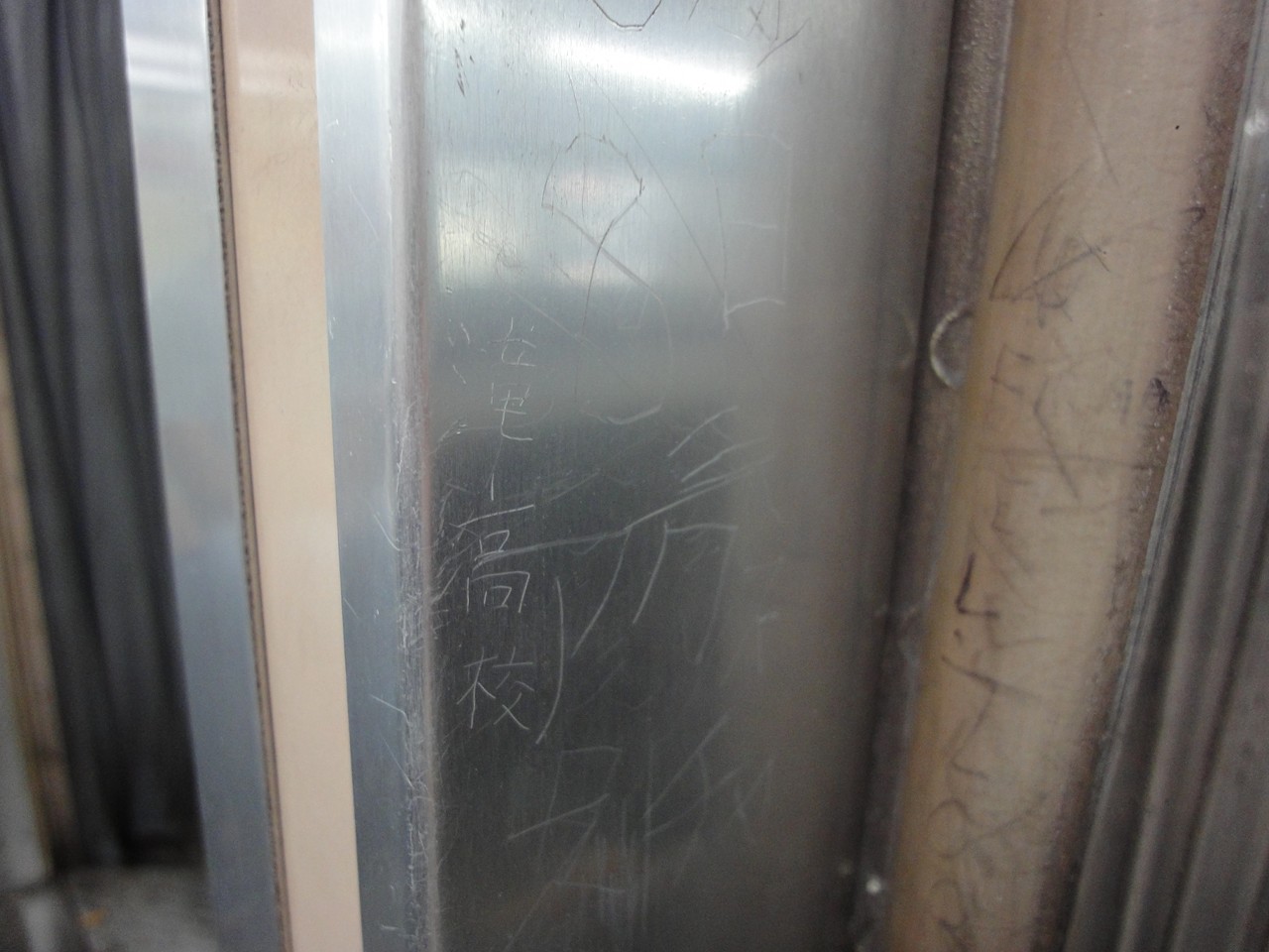 [DSC00561_chica.JPG]