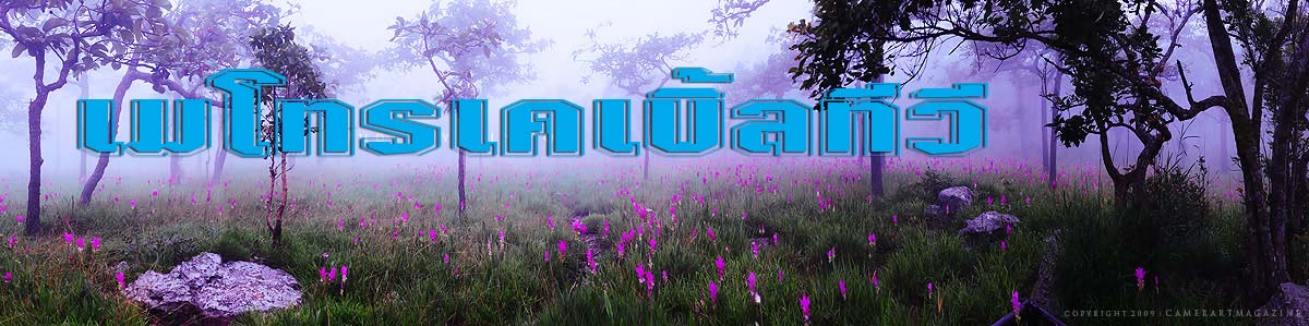 เมโทรเคเบิ้ลทีวี ติดตั้งเคเบิ้ลทีวี