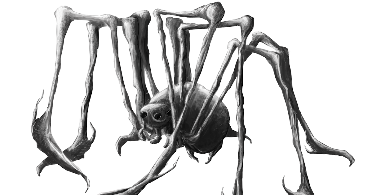 паук арагог раскраска. паук рисунок. рисунки пауков карандашом. рисунки для срисовки паук. паук скетч.