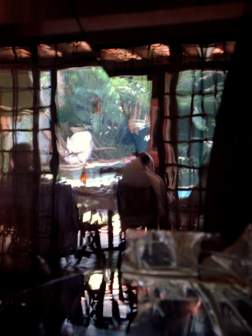 good memory and blurred vision