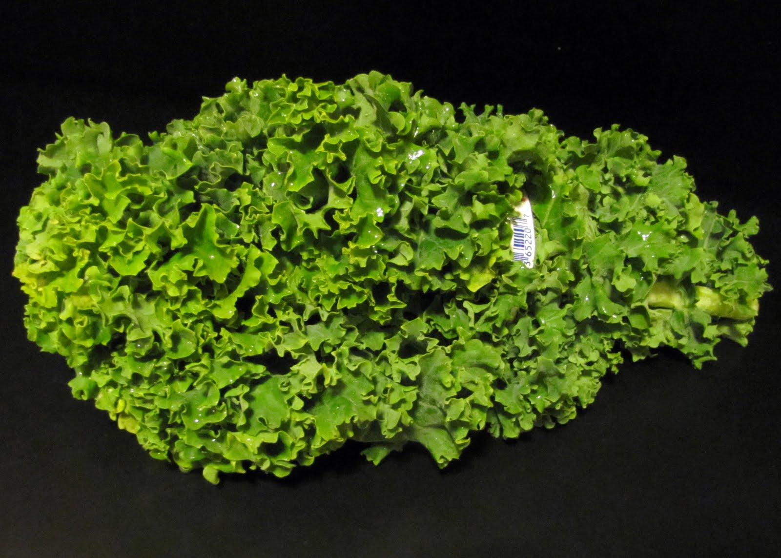 Smells Like Food in Here Kale