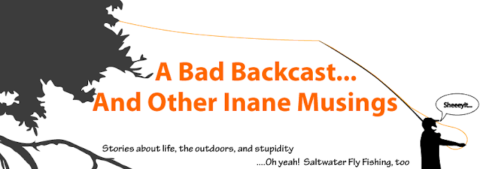 A Bad Backcast And Other Inane Musings