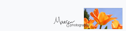 Maasen Photography
