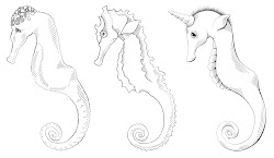 easy beginners drawings animals drawing draw simple seahorse horse animal sea seahorses fun brenda getdrawings calendar drawspace