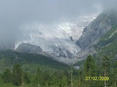 One of the glaciers we saw this July day