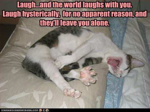 [funny-pictures-cat-laughs-hysterically.jpg]