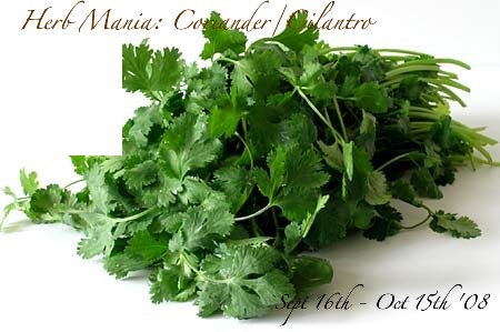 [cilantro-1-1.jpg]