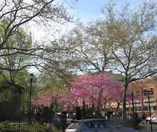 Carroll Park Brooklyn
