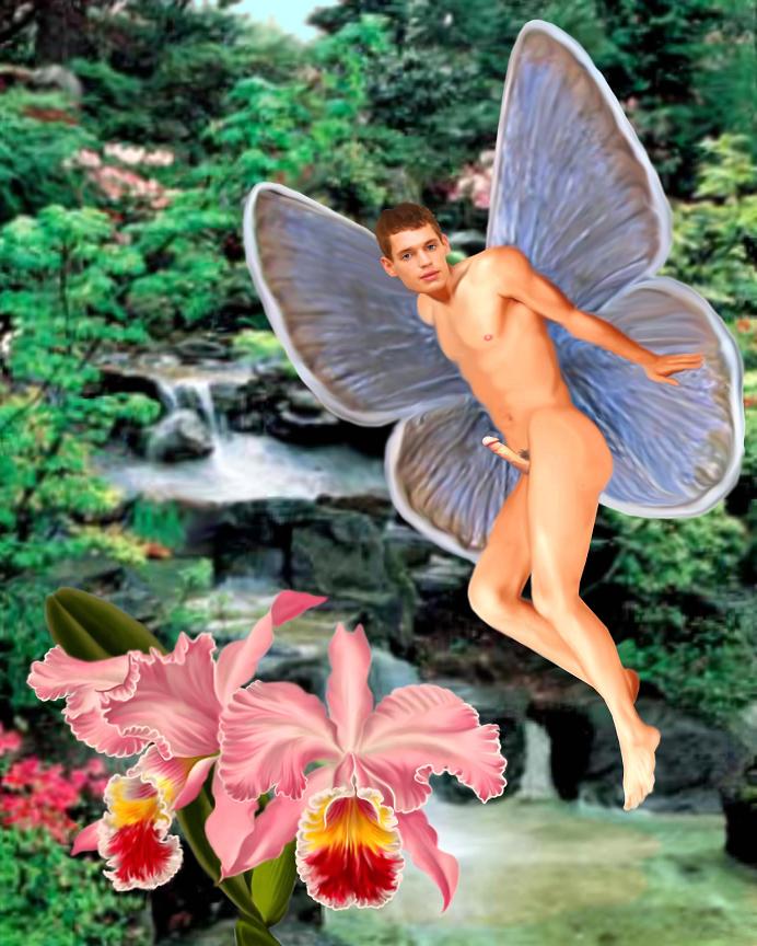 Gay Fairies 7