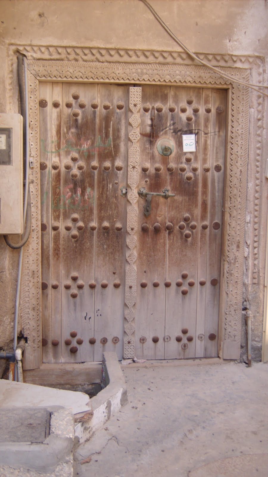 Pintail Flights: Qatif with the Traveling Naturalists