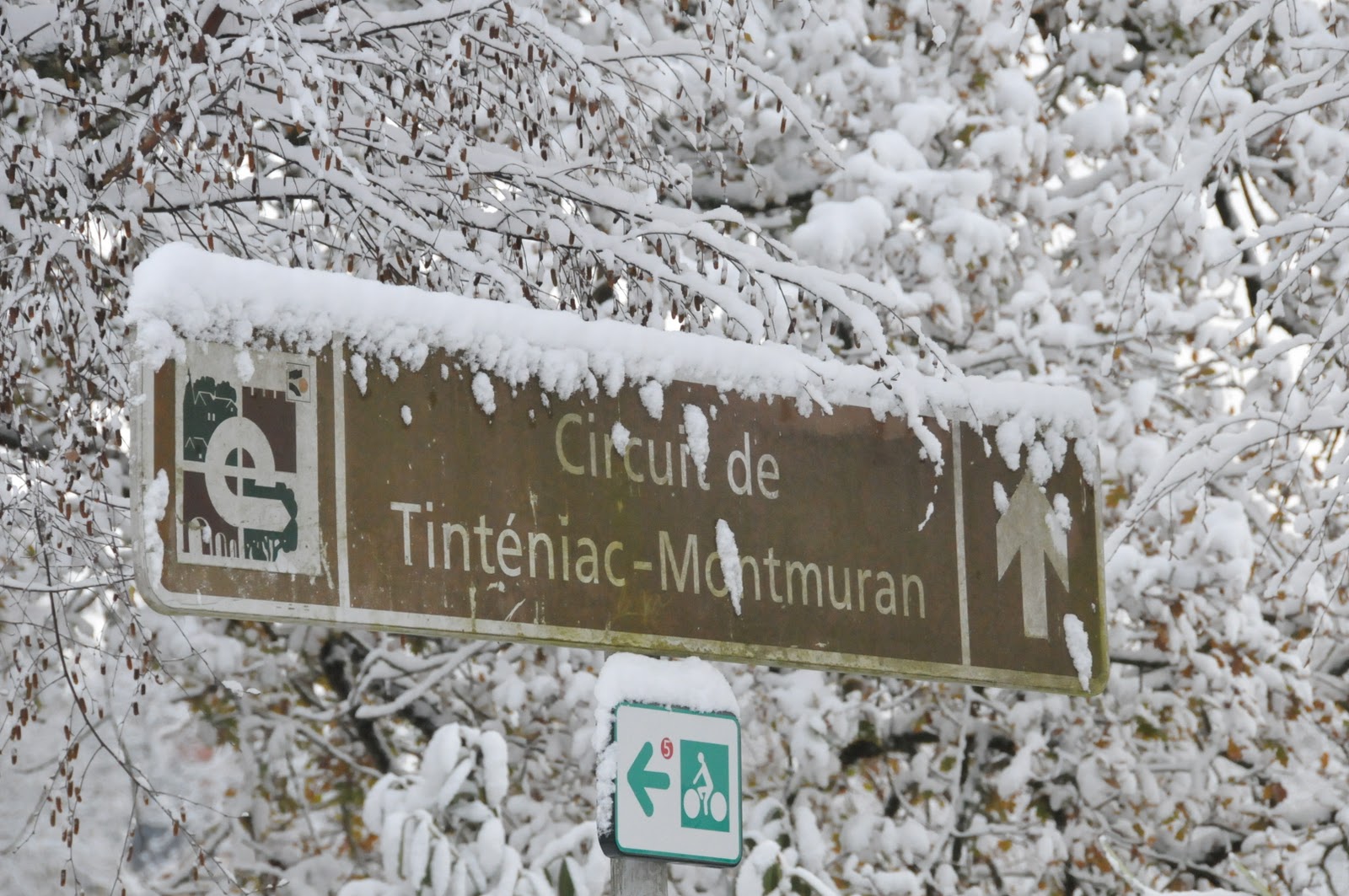 C'est L'hiver Qui Frappe à Notre Porte
