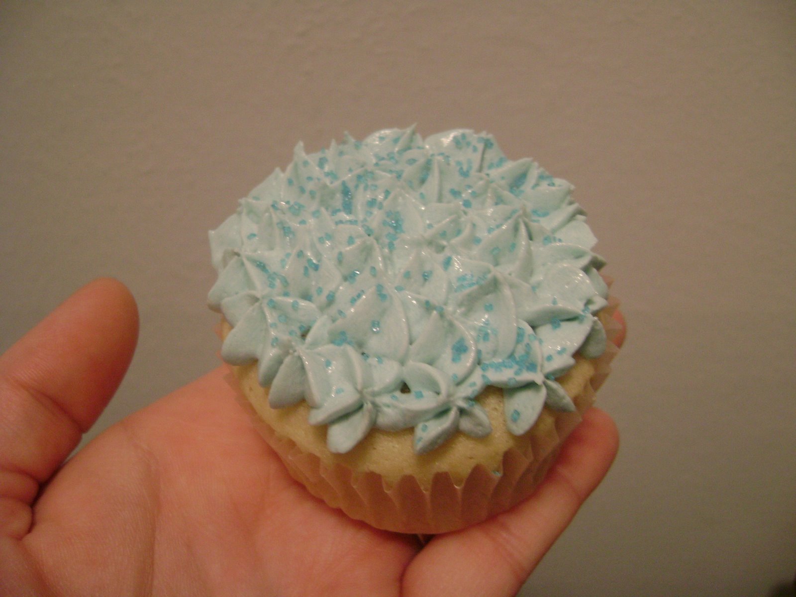 [Cupakes+Take+1+Vanilla+Vanilla+007.jpg]