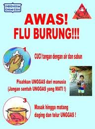 AWAS FLU BURUNG!!!