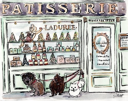 paris breakfasts: I dreamed my dog went to Paris