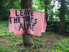 One of many banners made to protest at plans to fell a line of trees next to Blackberry Hill