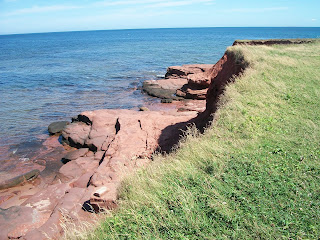 Incredible shoreline at Island The incredible shoreline