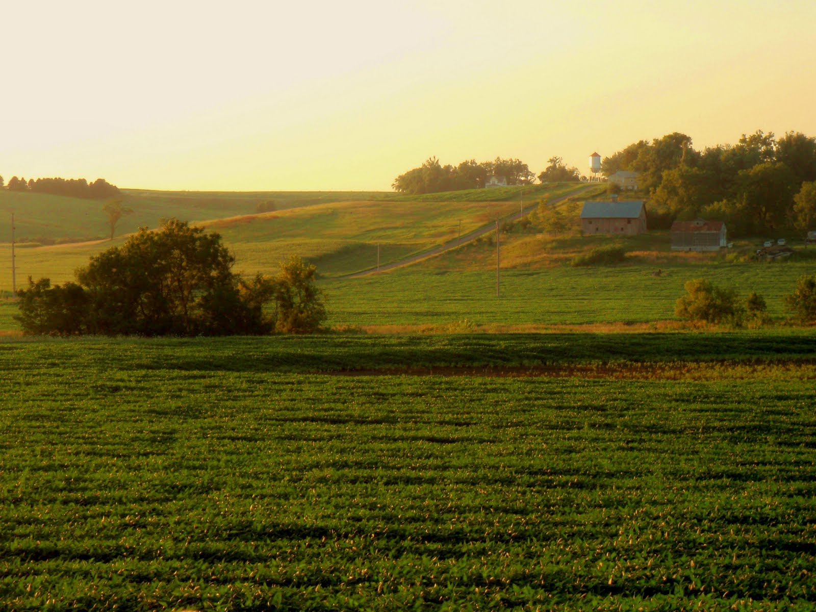 Traveling with a broad The Danish Community of Elk Horn Iowa
