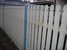 All shapes and sizes