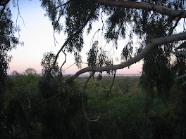 View from Reabold Hill