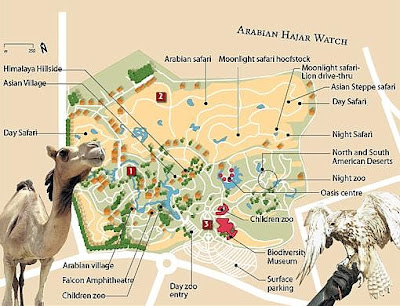 Транспорт какой до зоопарка. Дубай зоопарк сафари. Дубайский зоопарк Dubai Zoo. Карта Дубайского зоопарка. Зоопарк Дубай на карте.