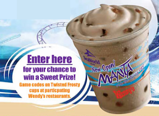 Manta Wendy's Summer Sweet Treat Sweepstakes Florida Only