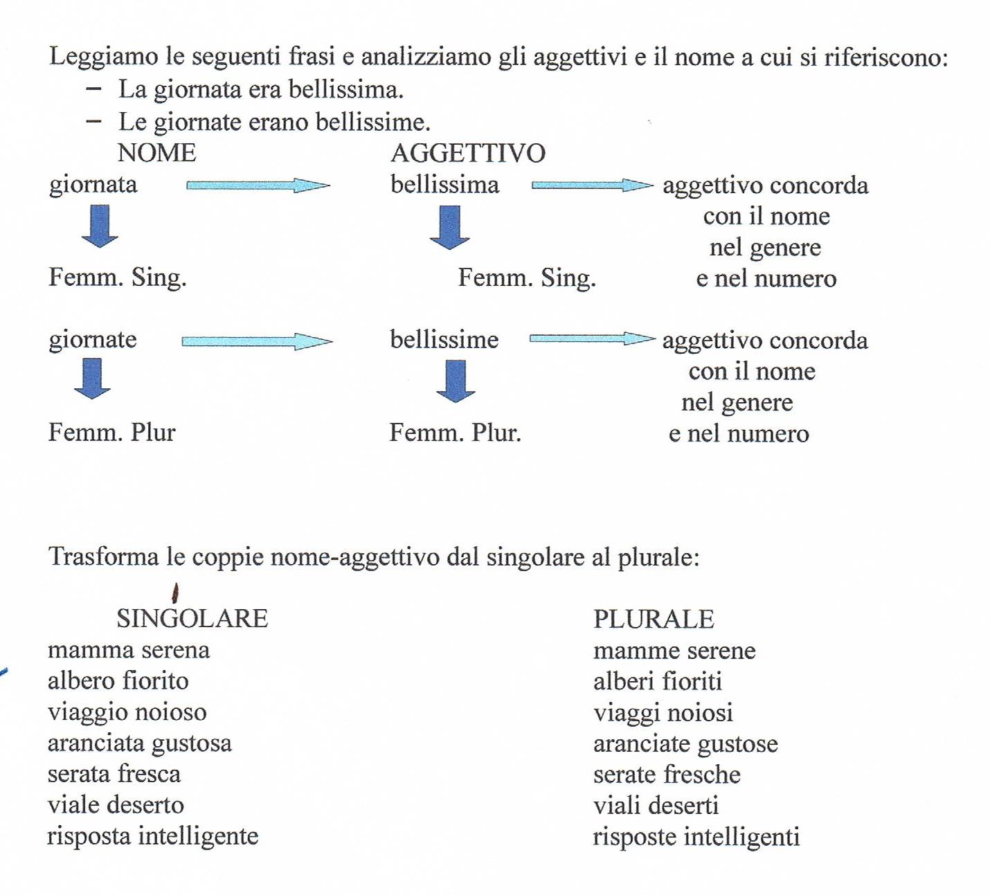 L Aggettivo Qualificativo Percorsi Operativi Di Apprendimento Schede Stampabili