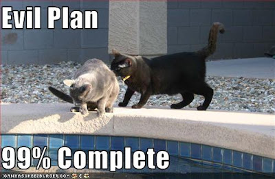 funny-pictures-evil-plan-almost-complete.jpg