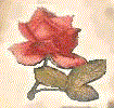 [Pic_Gal_M_Rose.GIF]