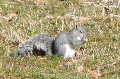 [IMG_6245.JPG]