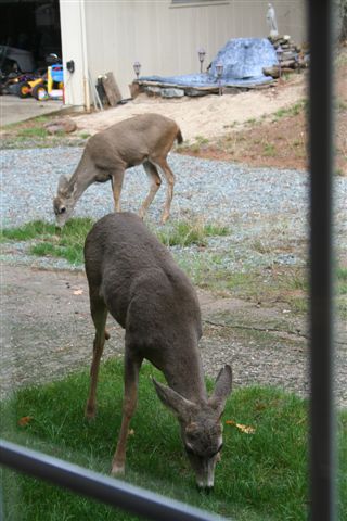 [IMG_3698.JPG]