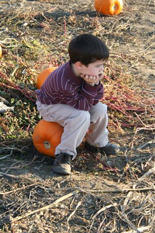 [IMG_3912.JPG]