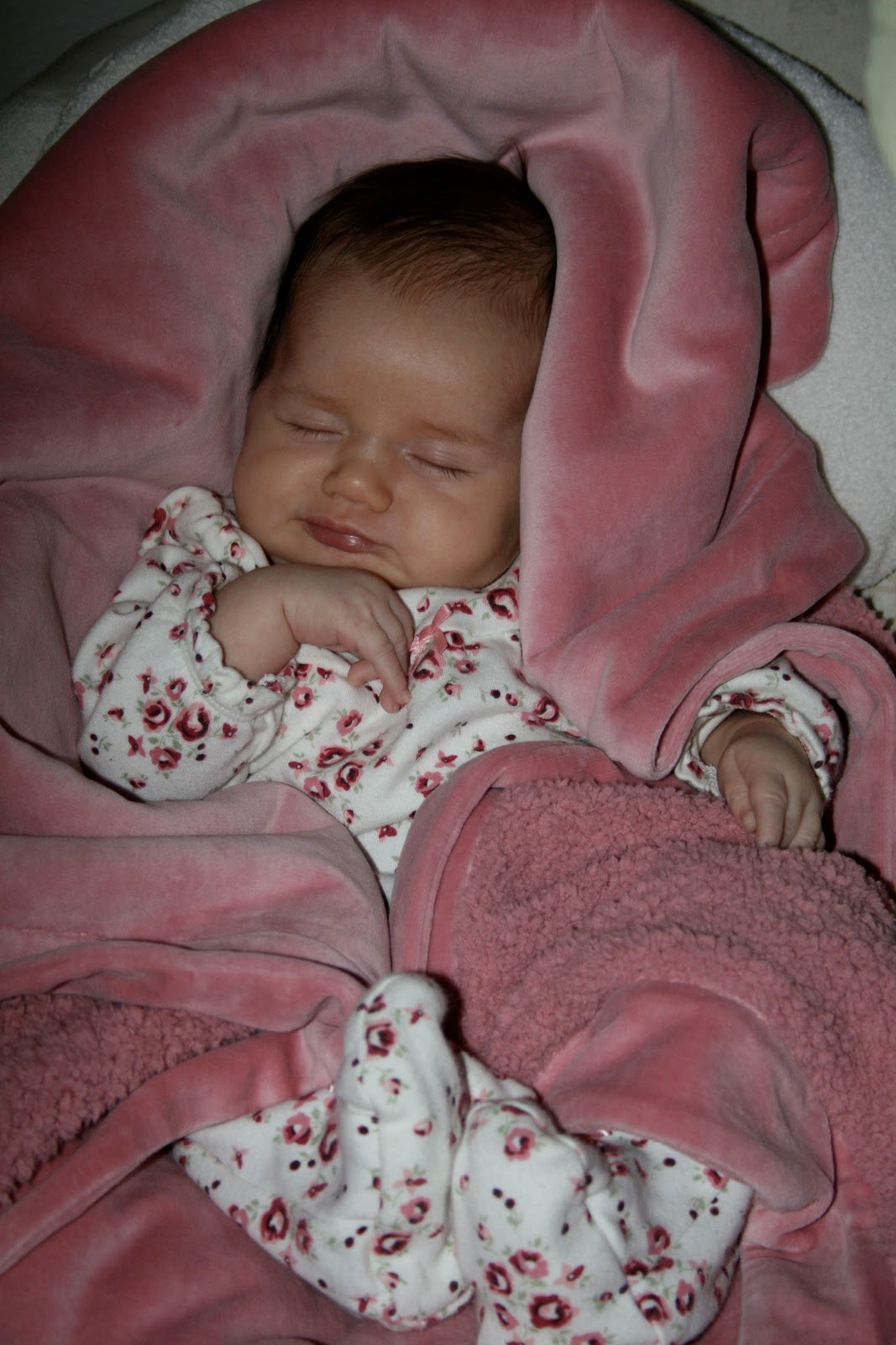 [IMG_4658.jpg]