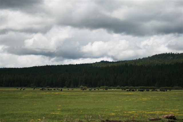 [IMG_0157.JPG]