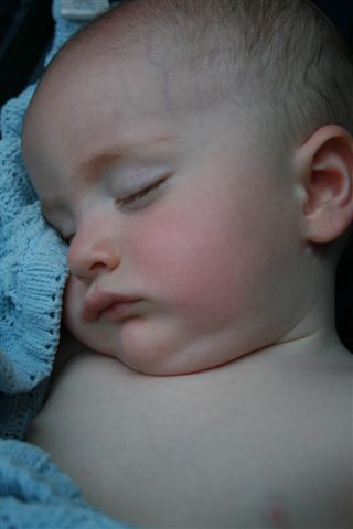 [IMG_3031.JPG]