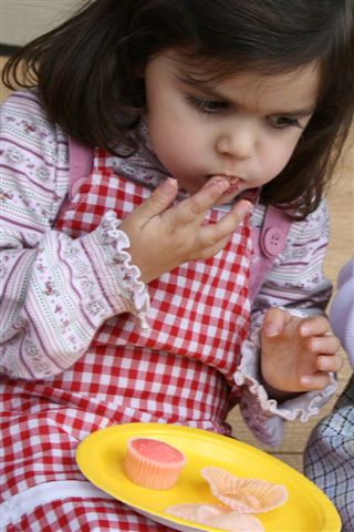 [IMG_5018_edited-1.JPG]