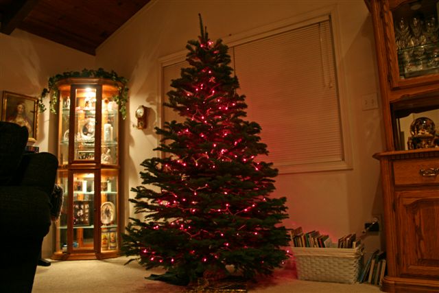 [IMG_6332+copy.jpg]