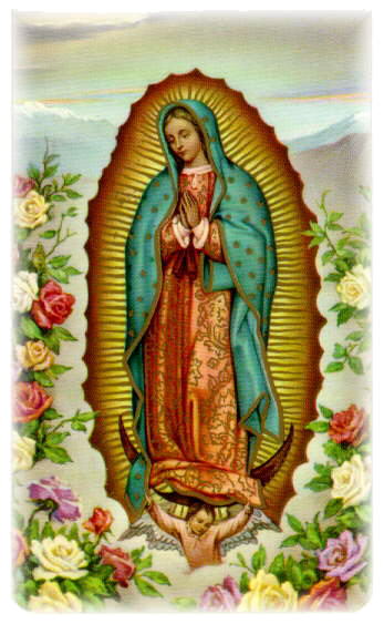 [our+lady+of+guadalupe.jpg]