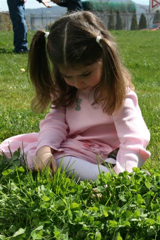 [IMG_0285.JPG]