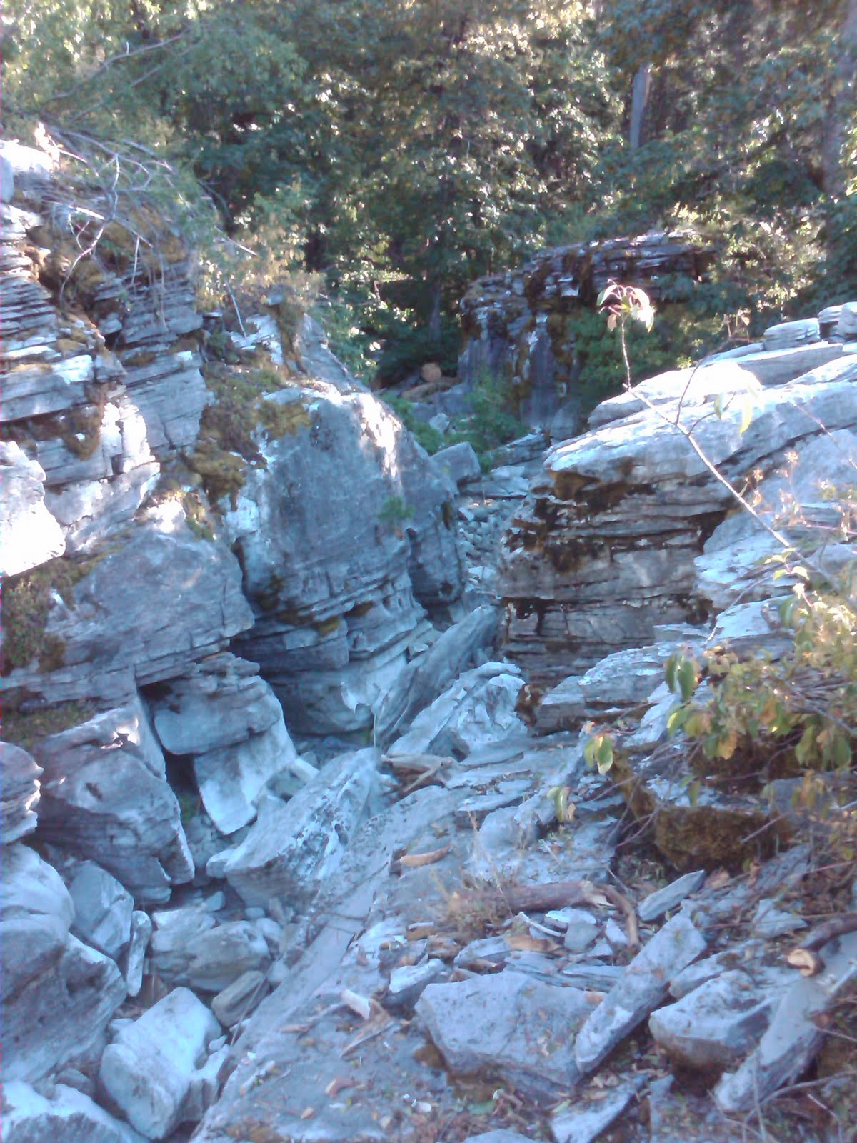 [IMG00038-20090901-1744.jpg]