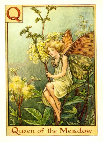 [queen_of_the_meadow_flower_fairy.jpg]