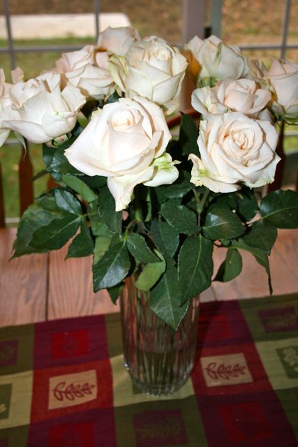 [IMG_1179.jpg]