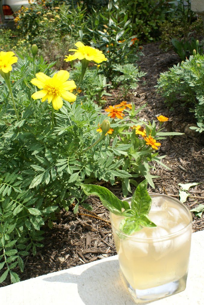 Two Parts Rye New Amsterdam Gin Revisited