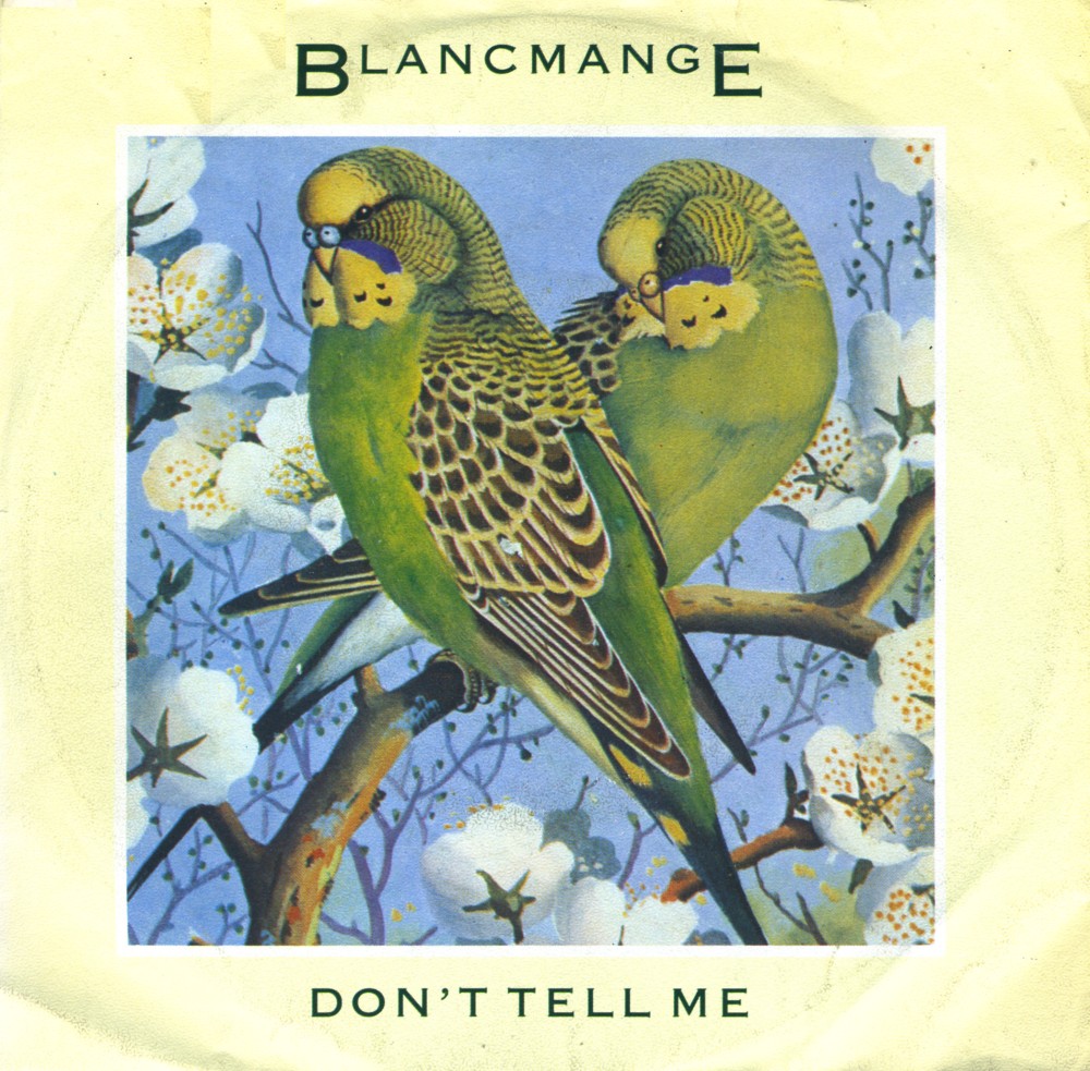 [blancmange5.jpg]