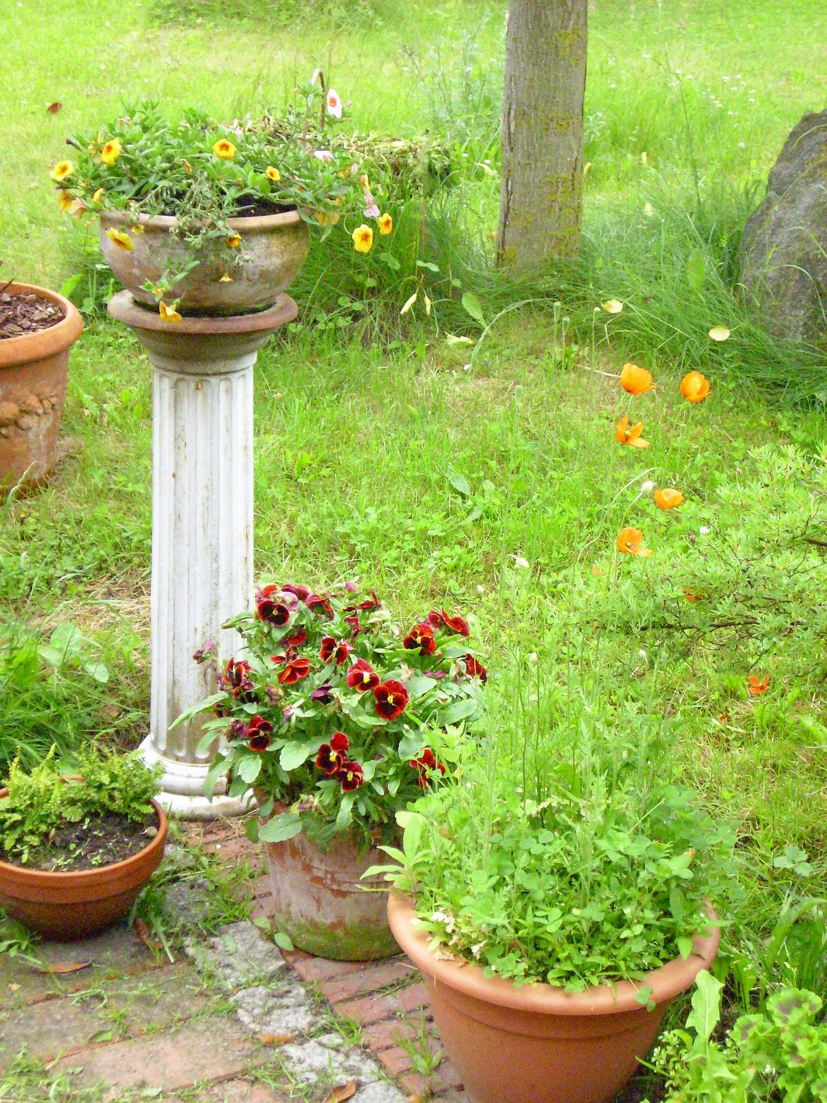 Martin in Broda Ein paar GartenSachen